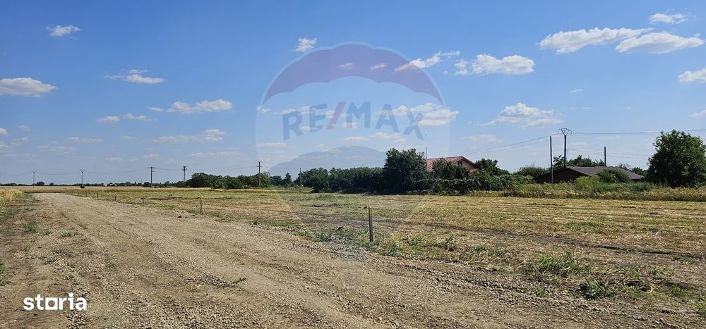 Terenuri intravilane Frumușani – Preț excelent, investiție sigură!