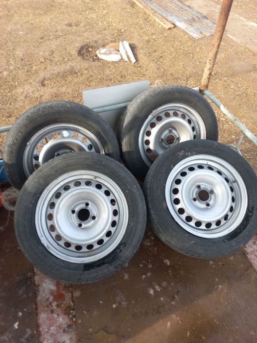 Qoqon diska shinasi bilan