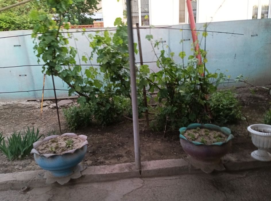 Продам дом в поселке карабулак