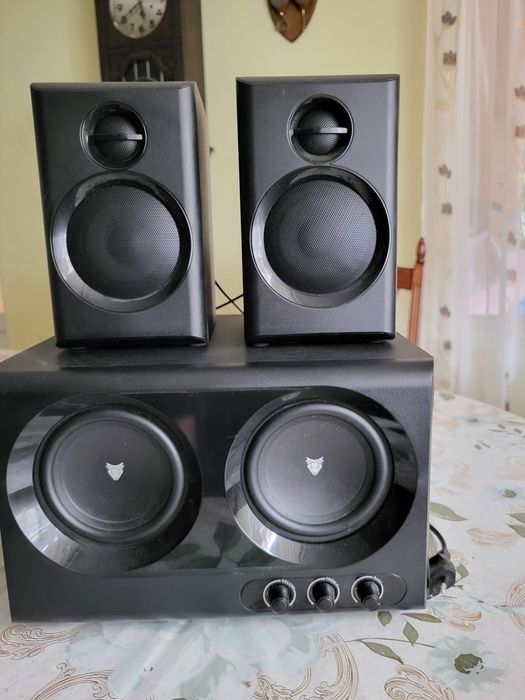 2 Subwoofere pasive.