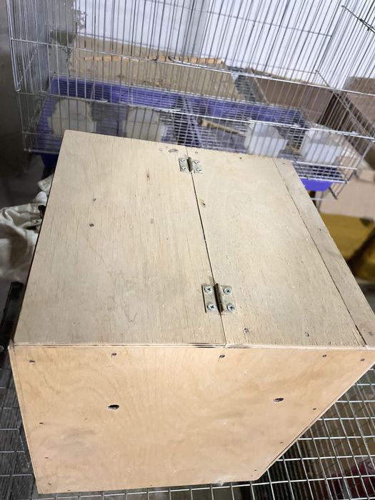 Dublyanka narxi arzon narxlada