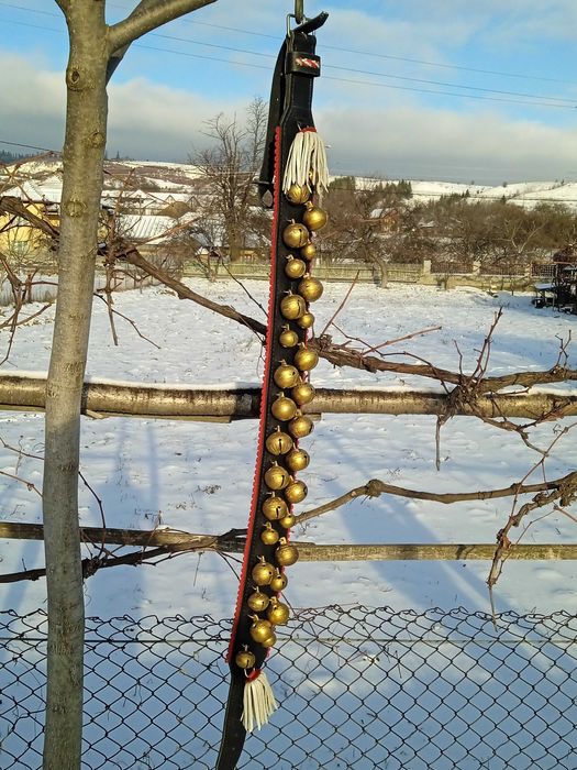 Salba cu zurgalai de vanzare