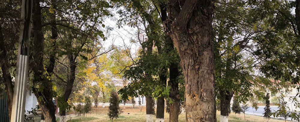 Продается участок с двумя зданиями