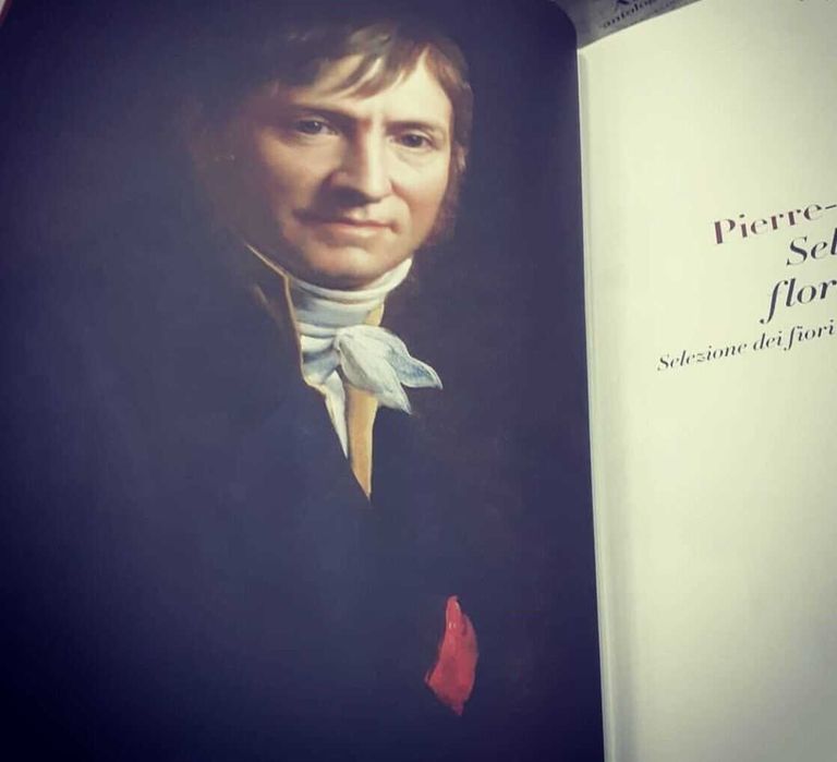 Album XXL Pierre-Joseph Redouté – Floral Illustrations (Taschen edition) – prima ediție rară Taschen