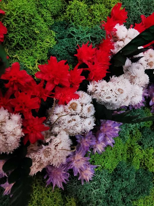 Tablou Unicat din Licheni si Plante Stabilizate, Handmade, 45x35 cm