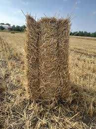 Baloti paie si lucerna