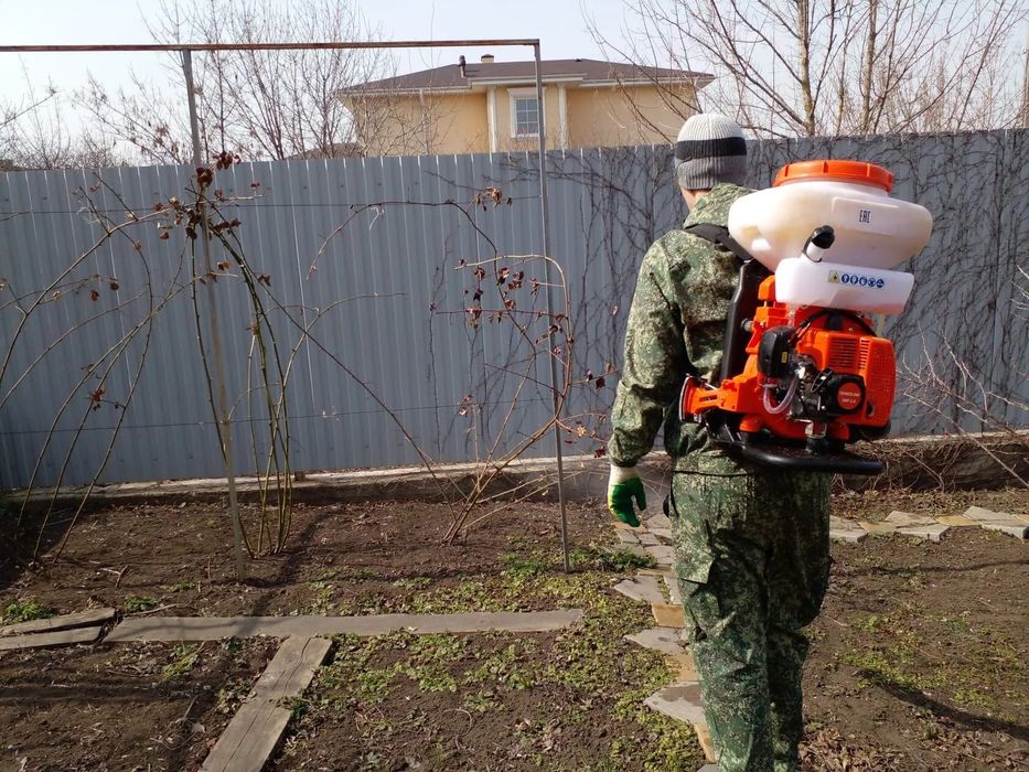 Опрыскивание, обрезка деревьев