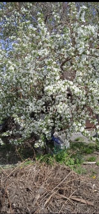 Продаю дачу на федоровском водохранилище