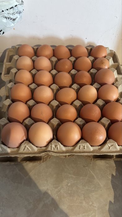 Яйца домашние,на продажу