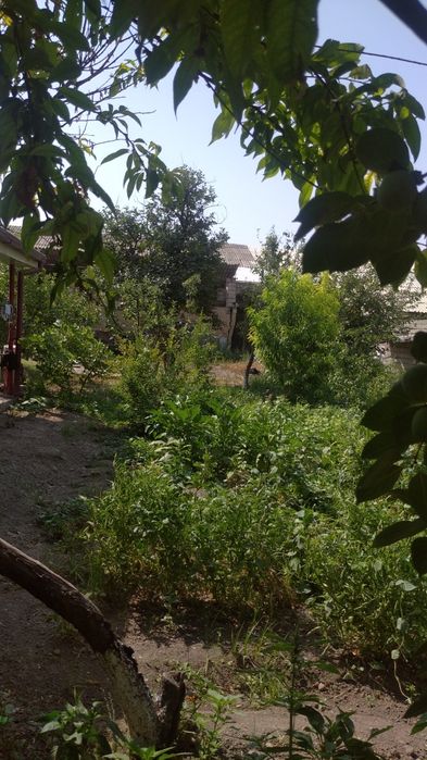 участок земля 3 соток