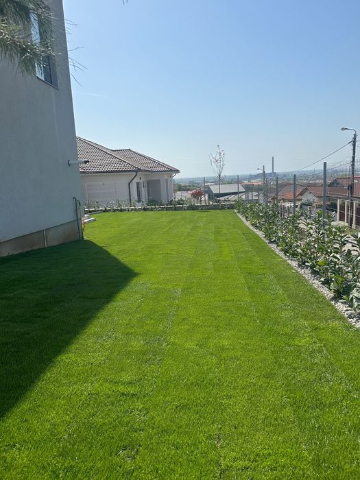 Irigatii gazon si plante