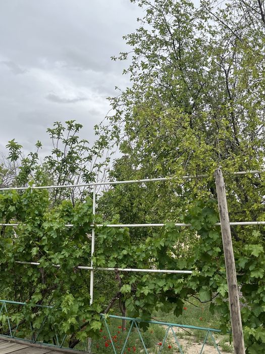 СРОЧНО 17 соттық жер үймен сатылады