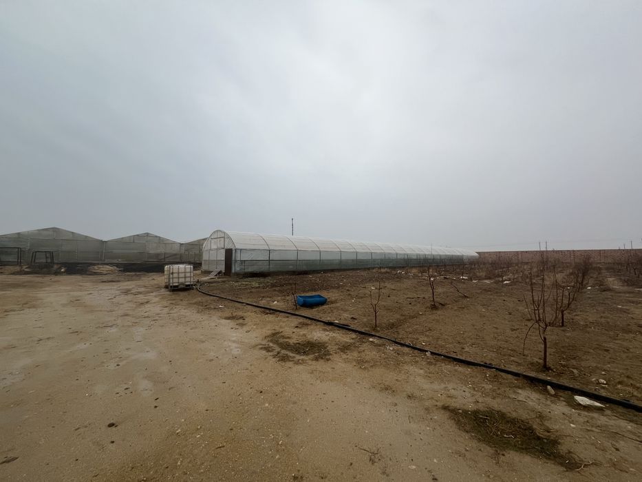 Теплицы срочно сатылады