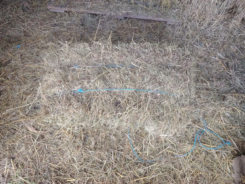 Vând baloți de fan