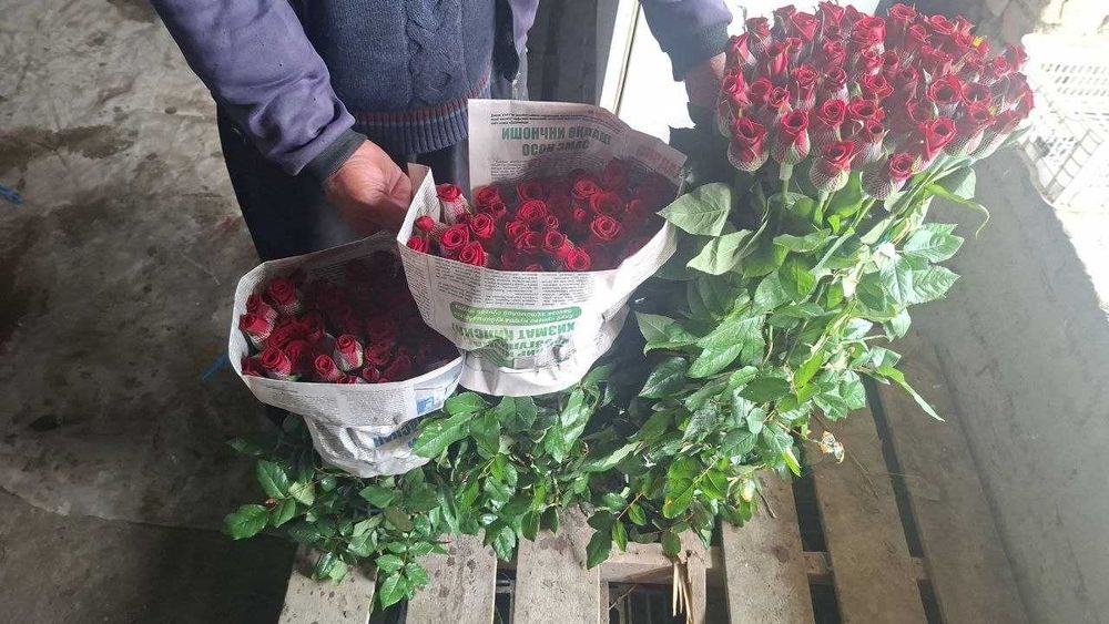 Atirgul роза Sotiladi Optom Navoiydan Barcha viloyatlarga dostavka bor