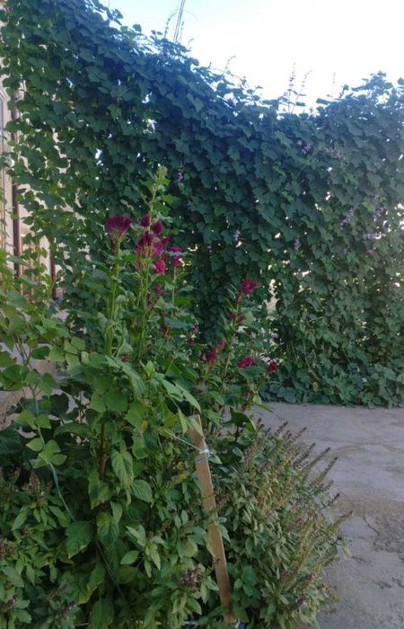 Продается 2 этажный Дом(коттедж) Ургенч.