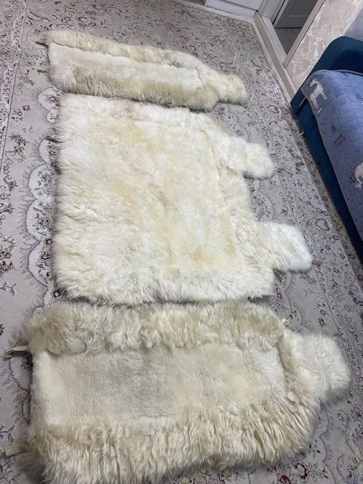 Чехол для машины шерсть медьведья