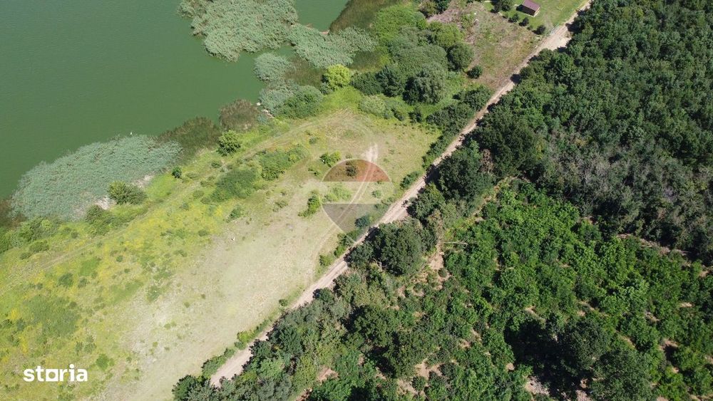 Teren 2404 mp la Lacul Murani langa padure concept Green and Blue