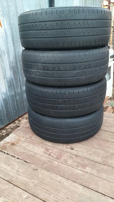 продам калисо лето