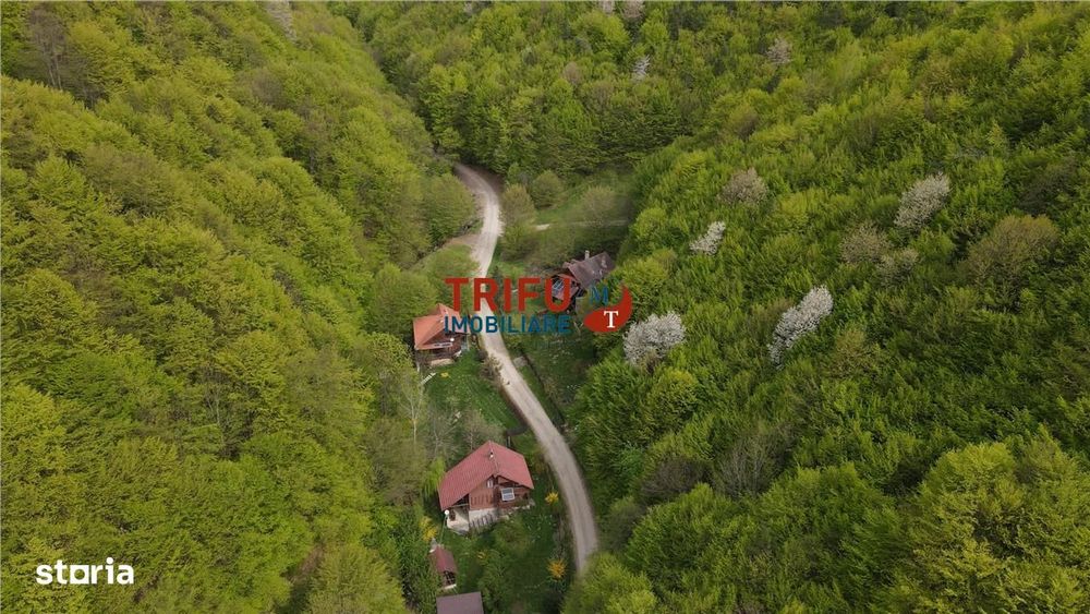 Casă de vacanță la pădure | Teren 891 mp | Valea Ighielului