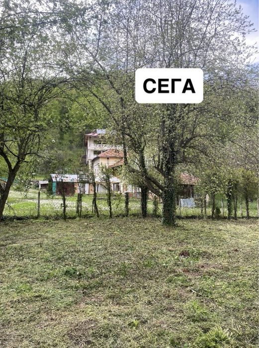 Косене и поддръжка на имоти