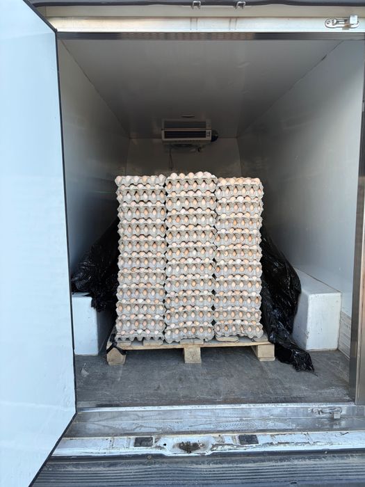 Distribuție Ouă cod 2 en-gros