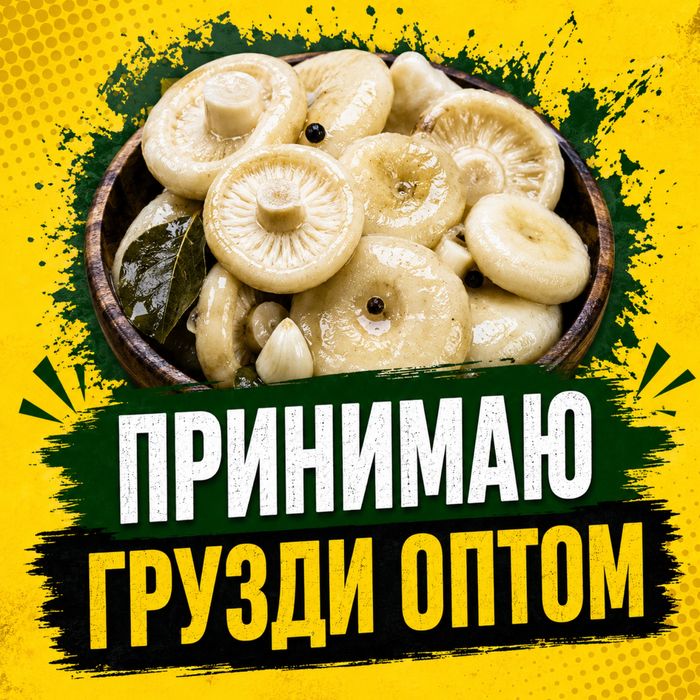 Грузди соленые