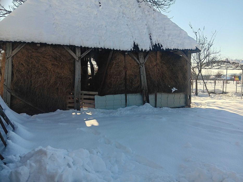 Fan de vanzare Tur, Negrești-Oaș