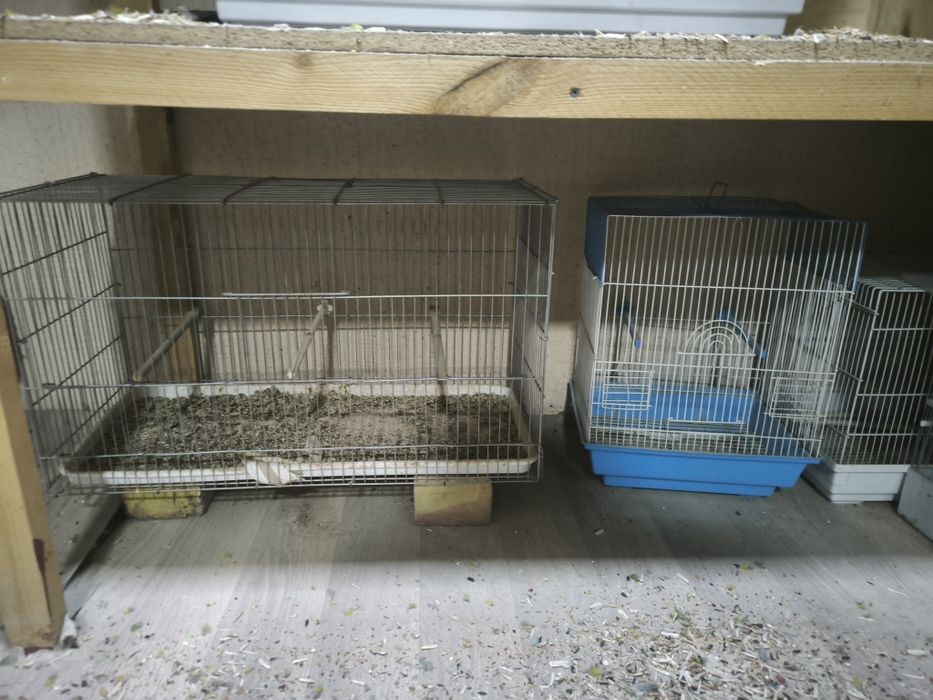 Клетки и вальеры для канареек