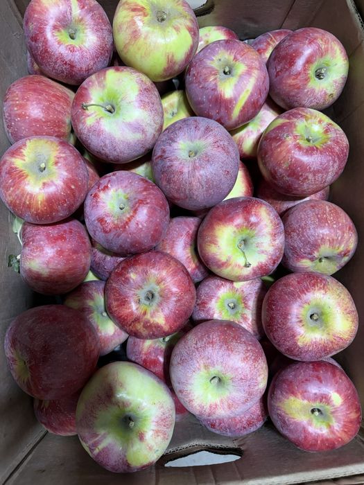 В продаже горные Яблоки - Груши