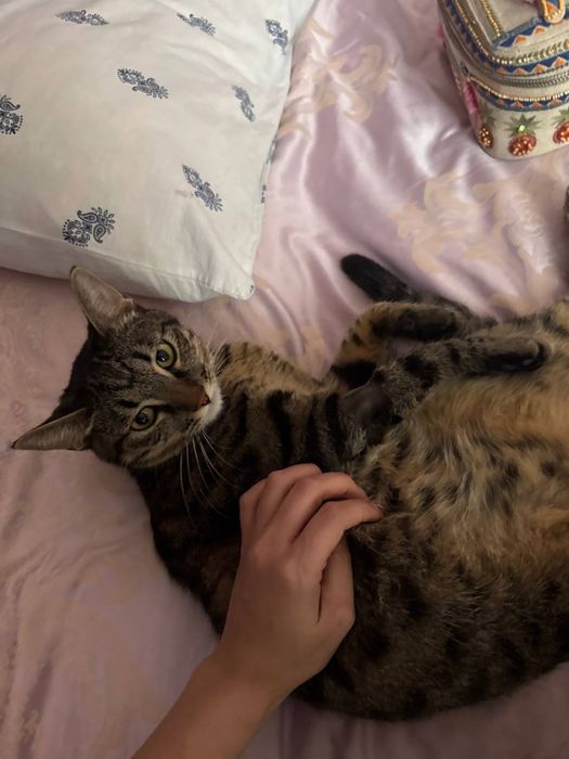 Малыш ждет своего человека!