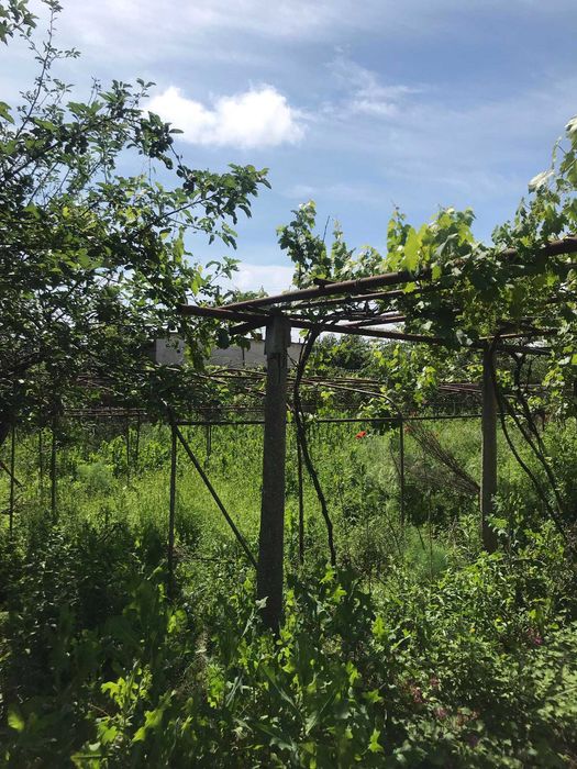 Продава се Къща в с. Черна гора, Област Стара Загора - 130 кв.м за 208 €/кв.м - Снимка #2