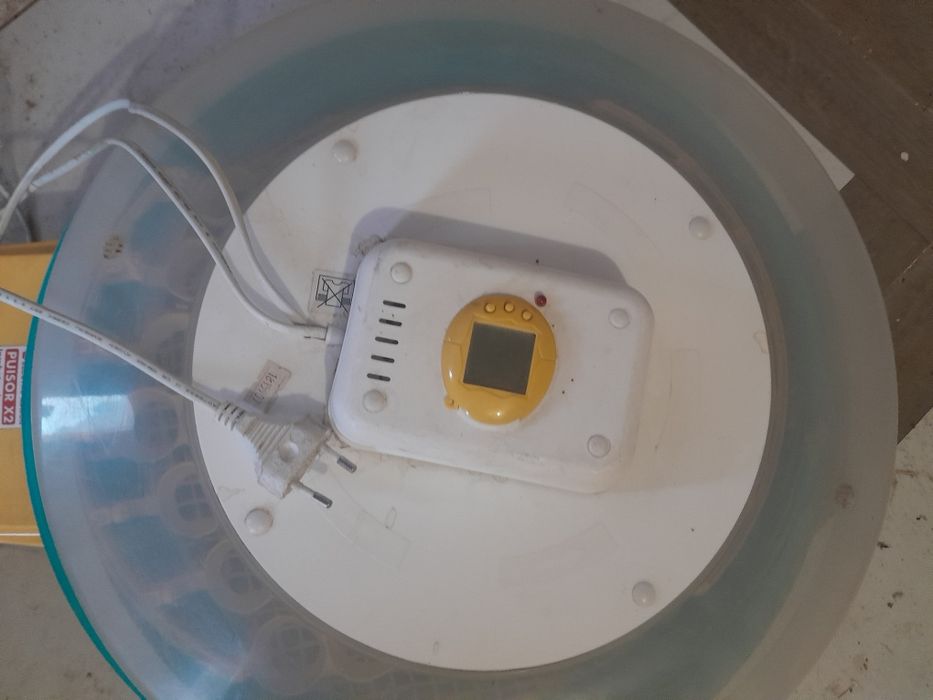 Vind incubator automat