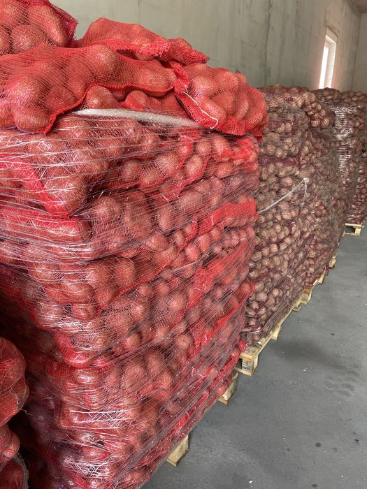 vand cartofi de polonia