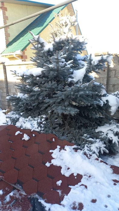 Продам стройматериалы,  самовывоз.