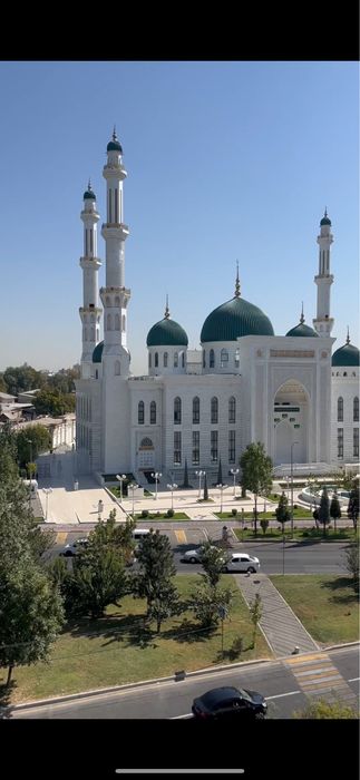 Olmazor tumani sag’bon