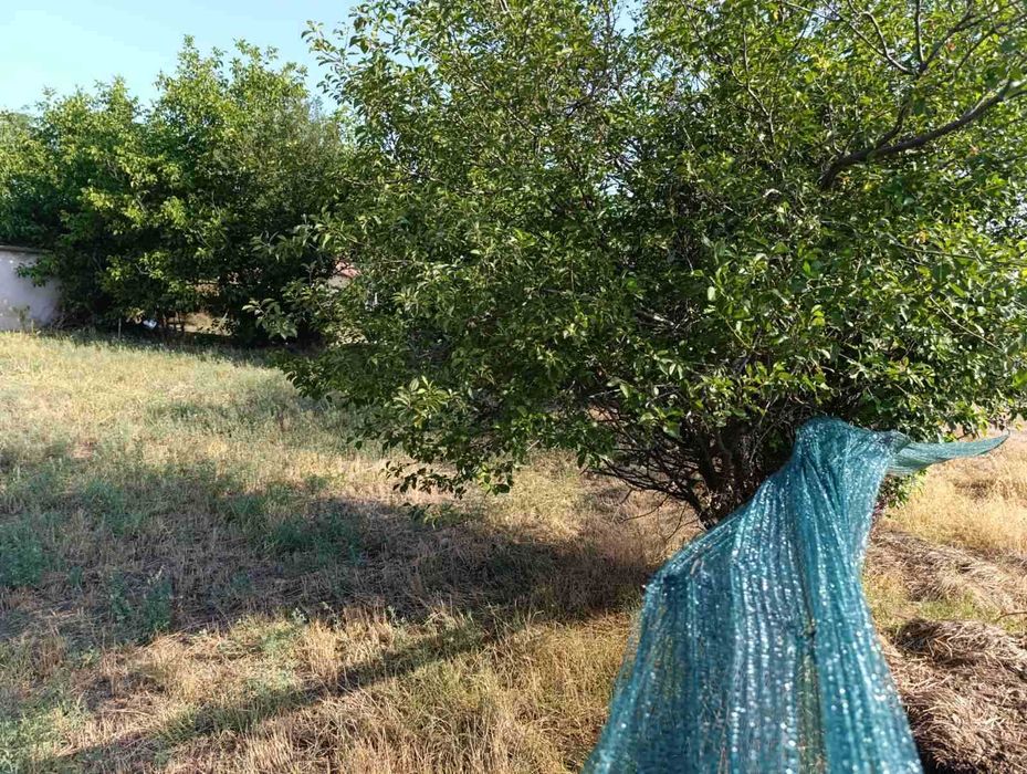 Продава се Парцел в София, Медицинска академия - 800 кв.м за 15 €/кв.м - Снимка #5