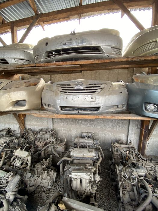 Ноускаты(Мини-морды) Камри 40-45