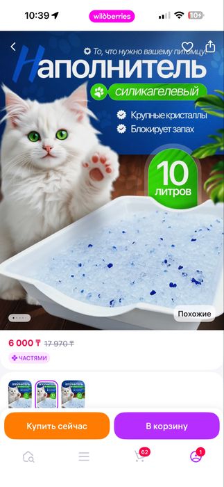 Одтам кошку в добрые ручки