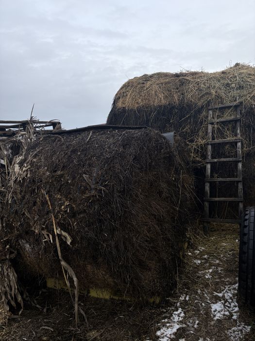 Baloti mari rotunzi de vanzare