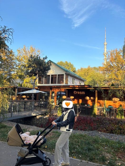 Каляска ining……..