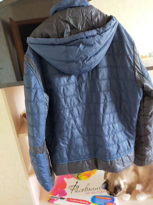 Мужская ветровка