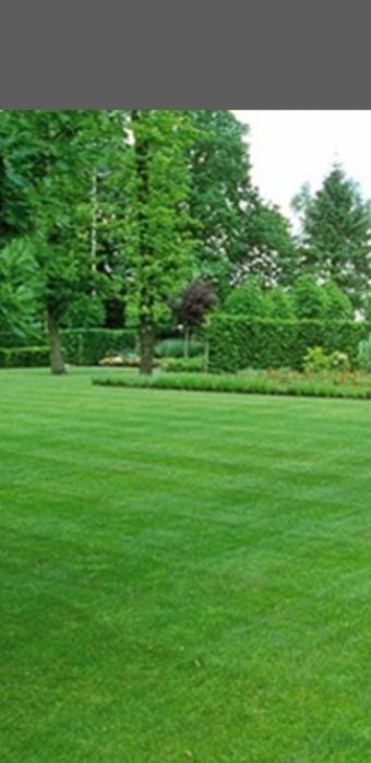 Gazon rulou si montaj