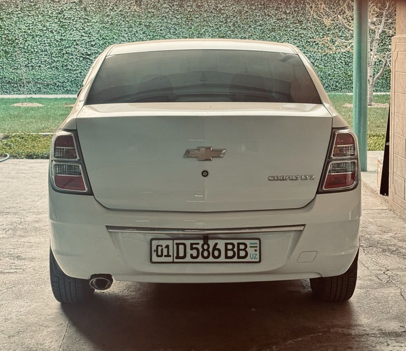 Факат аренда Cobalt (Кобальт)