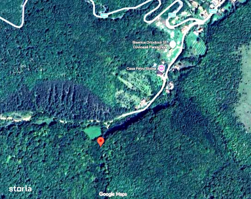 OCAZIE | 5755 mp PĂDURE matura in Stolna | Utilitati 200m | Front 17m