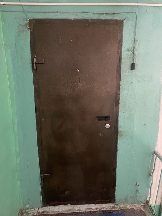 Железная дверь 80/200
