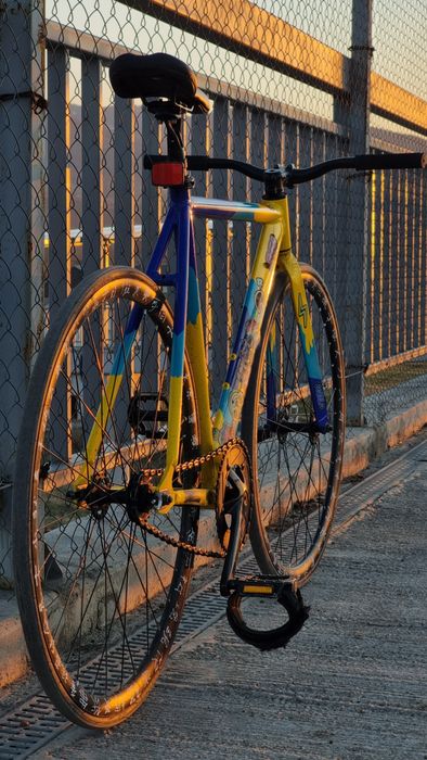 Fixed Gear Erec,