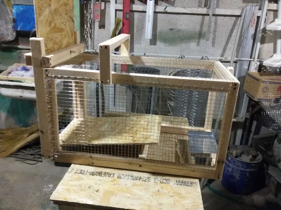 ловушка для кошек