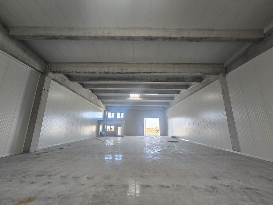Vand/inchiriez Depozit nou,parc industrial Sanandrei