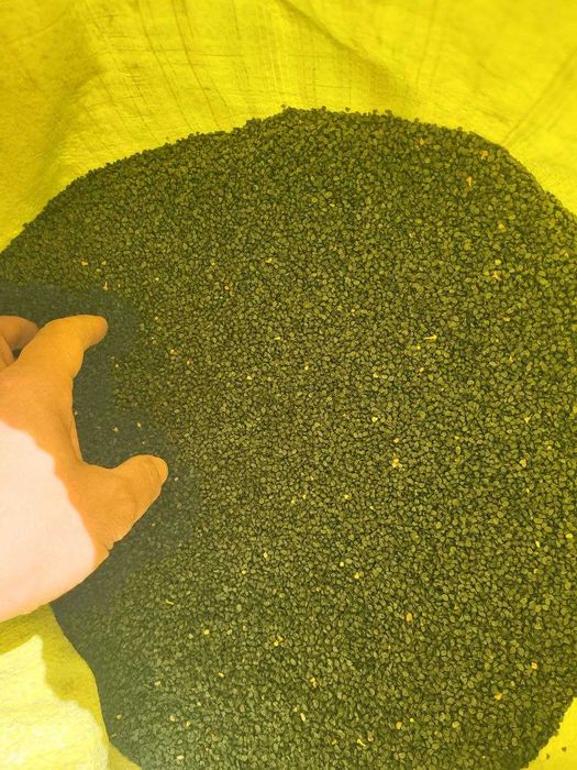 Продается семена лука сорт Банко и Свит. Пиёз уруги. Piyoz urug